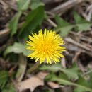 구덕초등학교 이미지