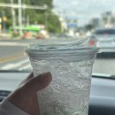 GS25 순천남교점 | 맥도날드 신메뉴, 순천 매실 맥피즈&amp;과카몰레 치킨머핀 솔직후기