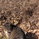 돈의비밀 - 01. 왜 나는 돈을 공부한 적이 없을까 | 2026년 01월(2) - 가족여행을 떠나요==3🛣️