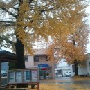 삼가파출소 이미지