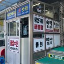 해성비치회맛집 이미지