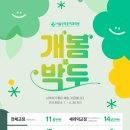 둔산로123번길 네이버블로그