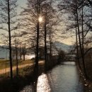 동신아파트1차앞 이미지