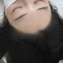 더디자인선 이미지