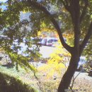 은진카센타 이미지