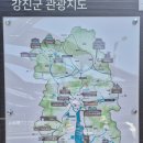 강진만 생태공원, 천연기념물 큰고니 집단 서식지