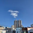 한국화작업실'선'