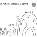 야구 선수 체감 몸집 이미지