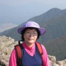 향원 이미지