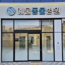 백동물병원 | 여수 웅천 동물병원 '예울 동물 병원' 방문 후기 /추천