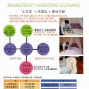 컬리티 Daum카페