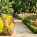 번영로L 이미지