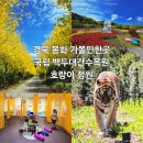 봉화랜드 | 경북 봉화 백두대간수목원 호랑이 트램 식물원 가볼만한곳