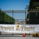 Censure partielle de la loi Duplomb : l’environnement sain, un droit consti 이미지