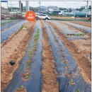 재학농장 이미지