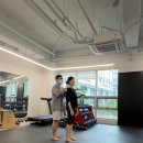 이룸PT | [세종] 바디이룸 필라테스 & PT 체형분석 및 교정 후기 (무너진 발아치, 허리 통증 개선, 출산 후 체력...