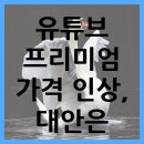 유튜브 프리미엄 가격 인상 우회 결제 막힘 해결책은? 이미지