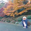 목재문화체험장 1층 이미지