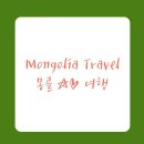 (주)몽골여행 네이버블로그
