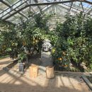 감귤박물관 | 제주 감귤박물관 다녀온 후기: 아이랑 가기 좋은 제주 실내 관광지