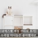 펫타워 | [#집사 로그] 큐빅스 펫 책장 캣타워 내돈내산 솔직후기편