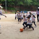 파주 파주시청 경기인터넷신문