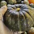 디제이팜 이미지