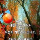 11월 11일 (토요일) 아침인사~ 이미지