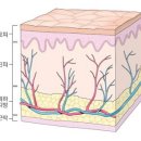 댓츠피티 이미지