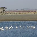 남정 태양광발전소 이미지