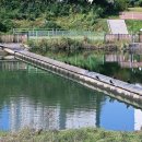 수변공원길 이미지