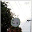 양평가볼만한곳 산나물 두메향기에서 ~~ #페이지 #두메향기