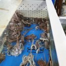 유정낙지마을 이미지