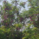 경기둘레길 이천37코스 이미지