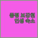 보강천 미루나무숲 | 증평 보강천 미루나무 숲 키즈 친화 산책로 공유 및 청주 근처 가족 여행 숙소 추천 리스트 조식 후기 정리