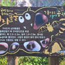 여미선착장 이미지