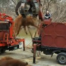 옥천한우농장 이미지