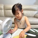 하연옥수수