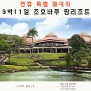 싱글골프스쿨 | [연휴 특별 패키지] 9박11일 말레이시아 조호바루 팜리조트 골프
