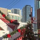 (주)사라다 | 쏘쏘사라다 냠냠 후기 | 내돈내산 후기