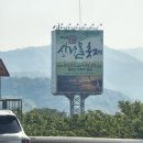 하가막마을새마을회 | 경기도 양평, 2026년 용문산 산나물 축제 2년 연속 아기랑 방문 후기