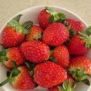 곡선로 | 친구네동네맛집 곡반정동 맛집 쭈꾸미여왕, 하얀풍차 1차2차 코스완벽 맛집코스후기