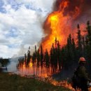 봄의노래 이미지