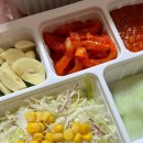 이윤성 족요 이미지