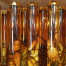 왕대포민박 이미지