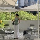 베이징덕 카오야 대만카페BRUN, FIKA FIKA CAFE, 레이디엠 치즈케이크, 대만버블티맛집 밀크폼음료...