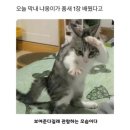 마음드리 이미지