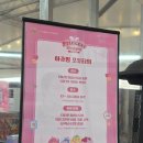 새소망어린이집 | 대전 현대아울렛 티니핑 팝업 설연휴 아이와 실내 가볼만한곳