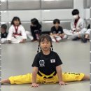 대호태권도체육관 이미지