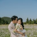 코지스트